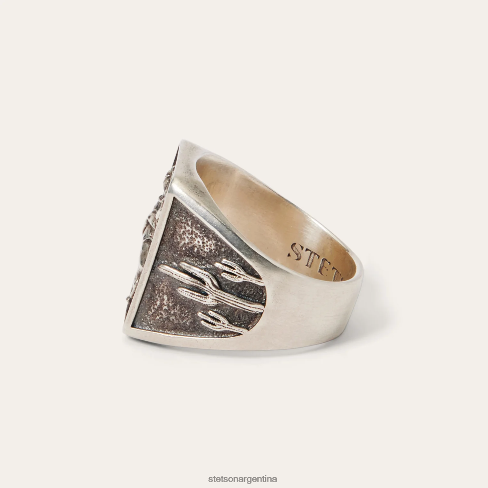 Stetson anillo de vaquero un color hombres accesorio P242PH424