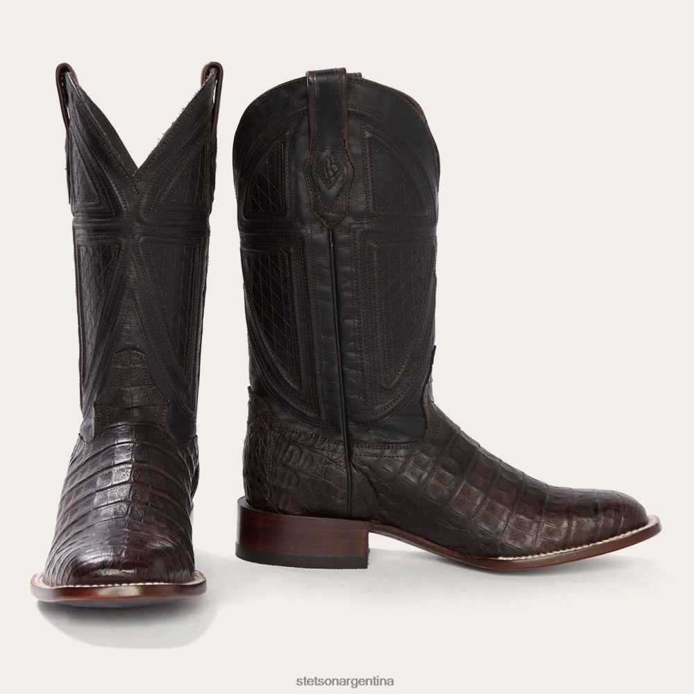 Stetson Bota cowboy kaycee panza de caimán marrón broncearse hombres calzado P242PH220