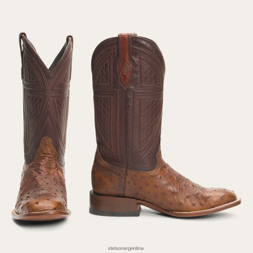 Stetson botas jackson marrón hombres calzado P242PH243