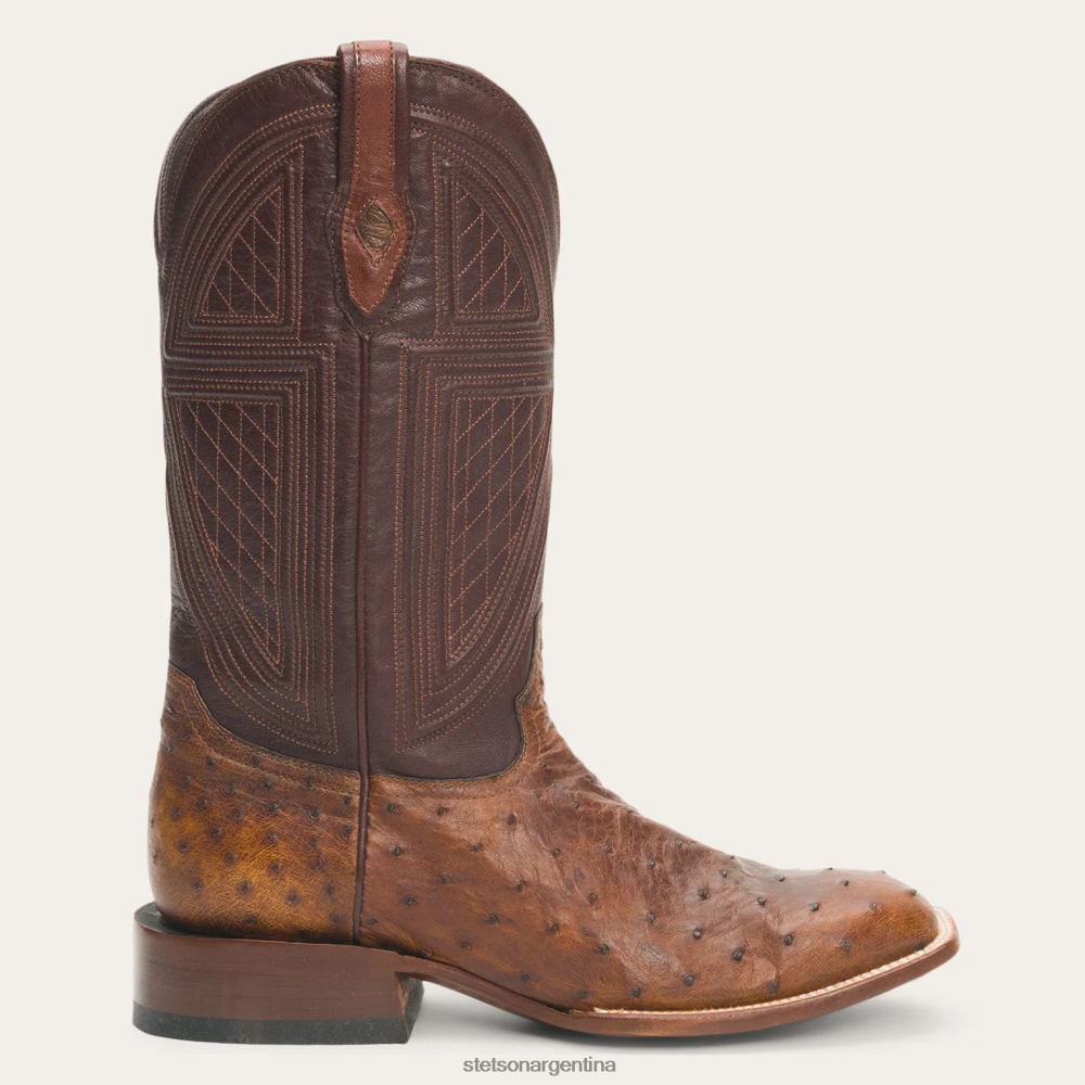 Stetson botas jackson marrón hombres calzado P242PH243