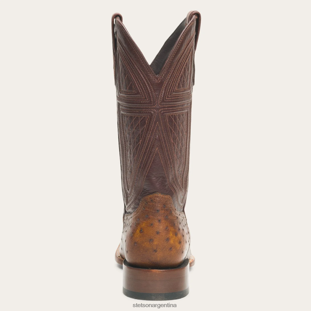 Stetson botas jackson marrón hombres calzado P242PH243