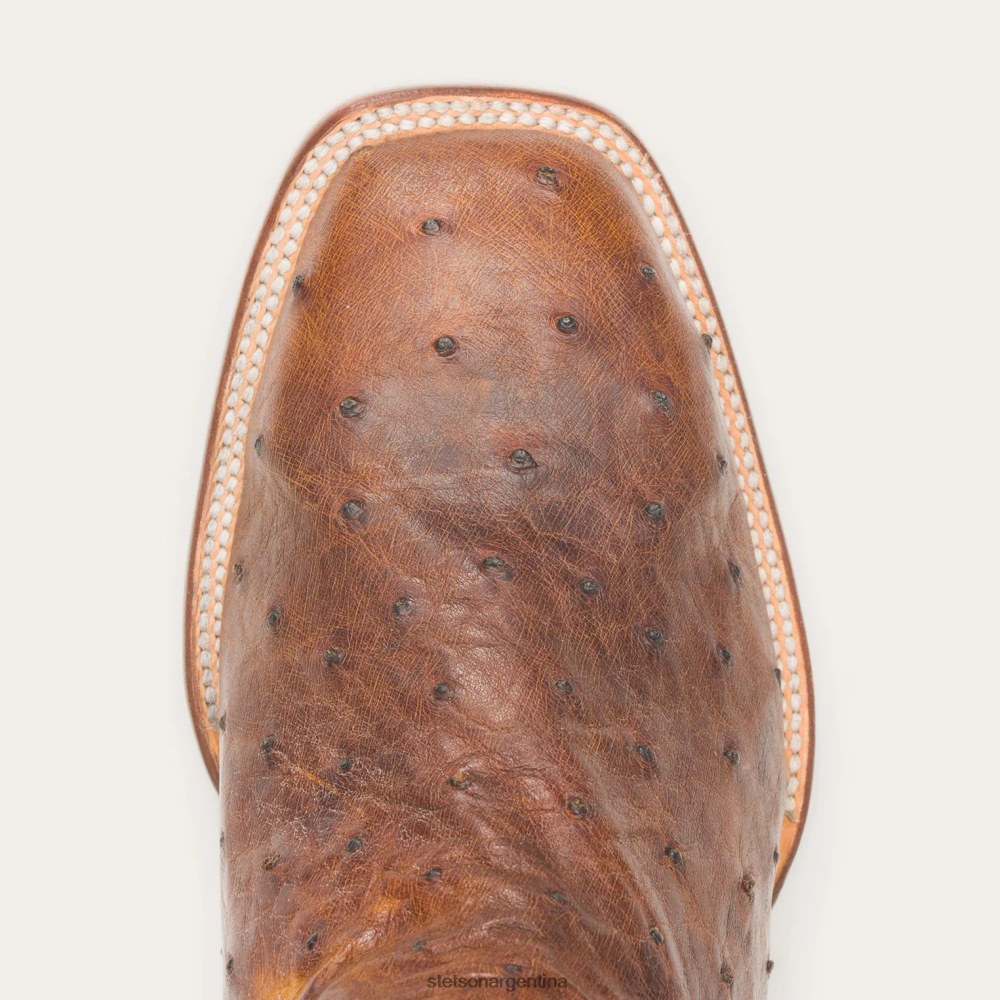Stetson botas jackson marrón hombres calzado P242PH243