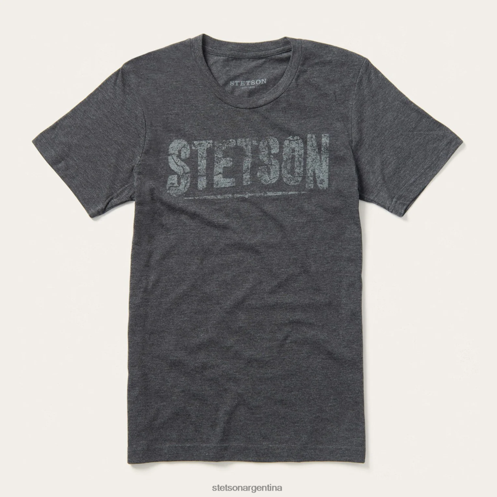 Stetson camiseta con gráfico desgastado gris hombres vestir P242PH373