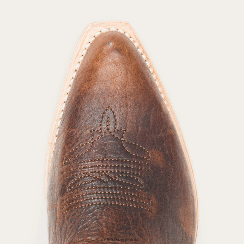 Stetson botas toni marrón mujer calzado P242PH284