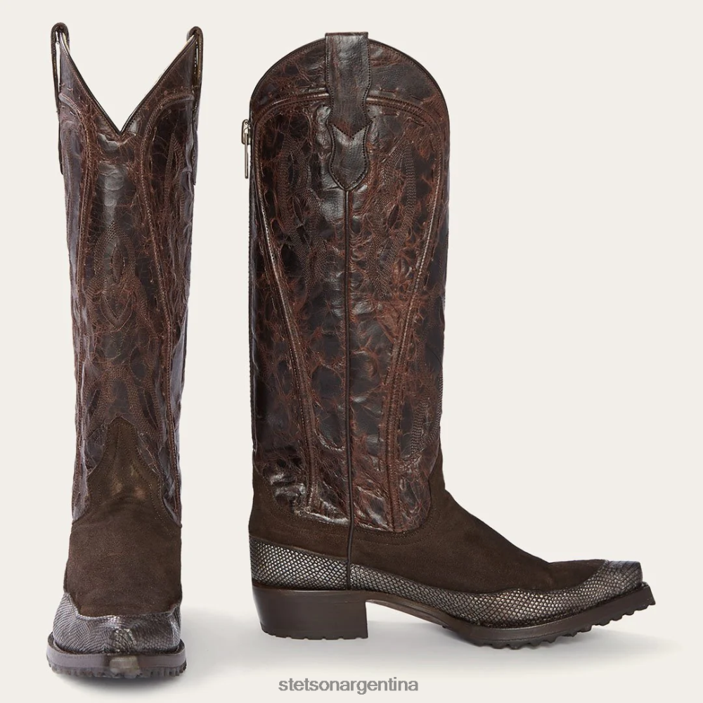Stetson Bota cowboy dakota ante y teju marrón mujer calzado P242PH252