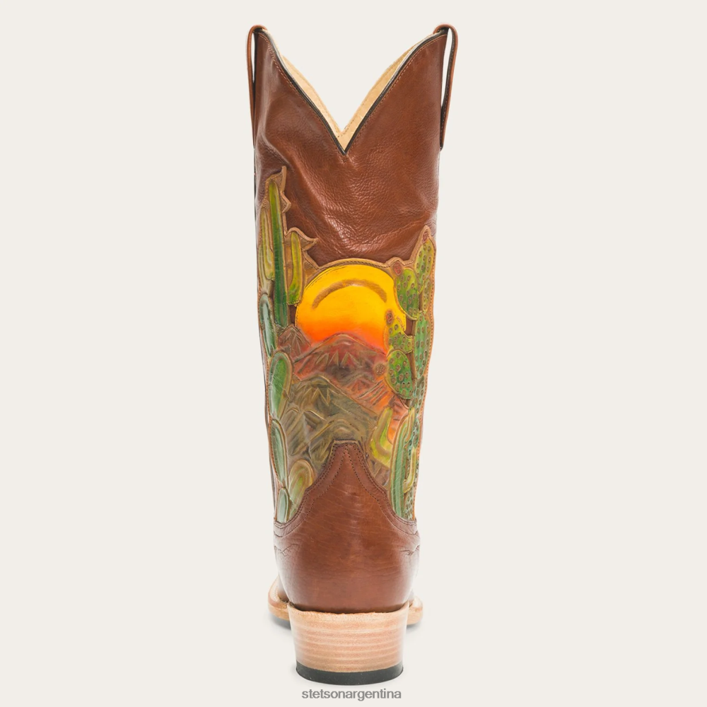 Stetson botas doradas marrón mujer calzado P242PH256