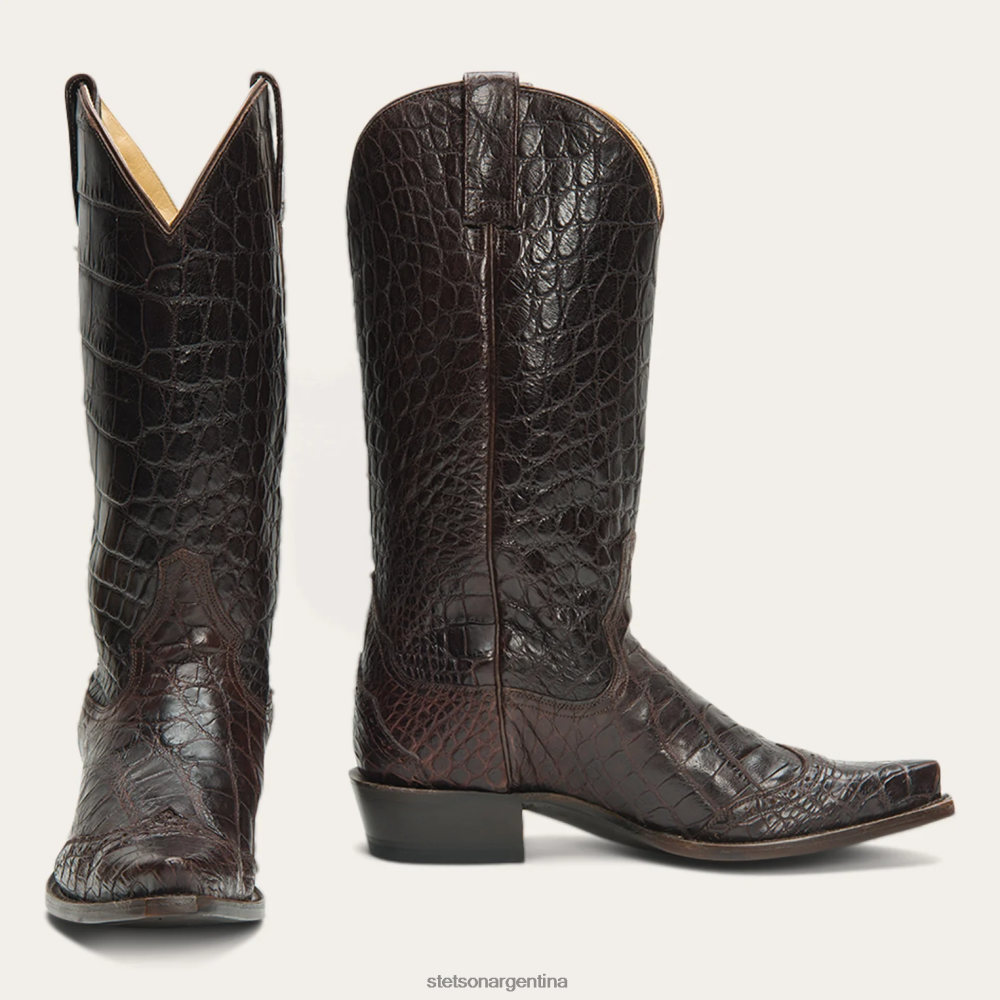 Stetson botas lola marrón mujer calzado P242PH259