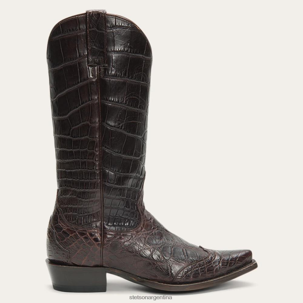 Stetson botas lola marrón mujer calzado P242PH259