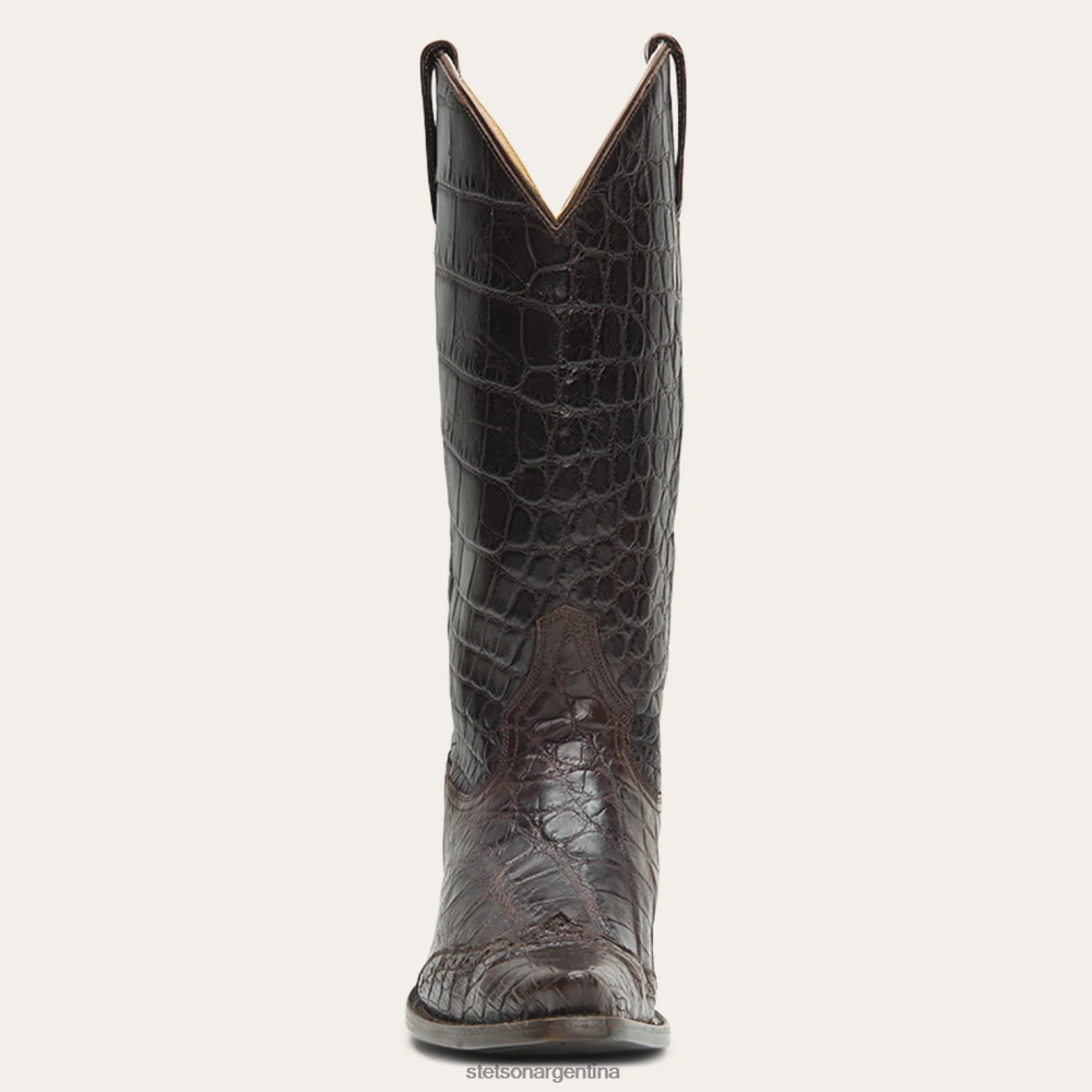 Stetson botas lola marrón mujer calzado P242PH259