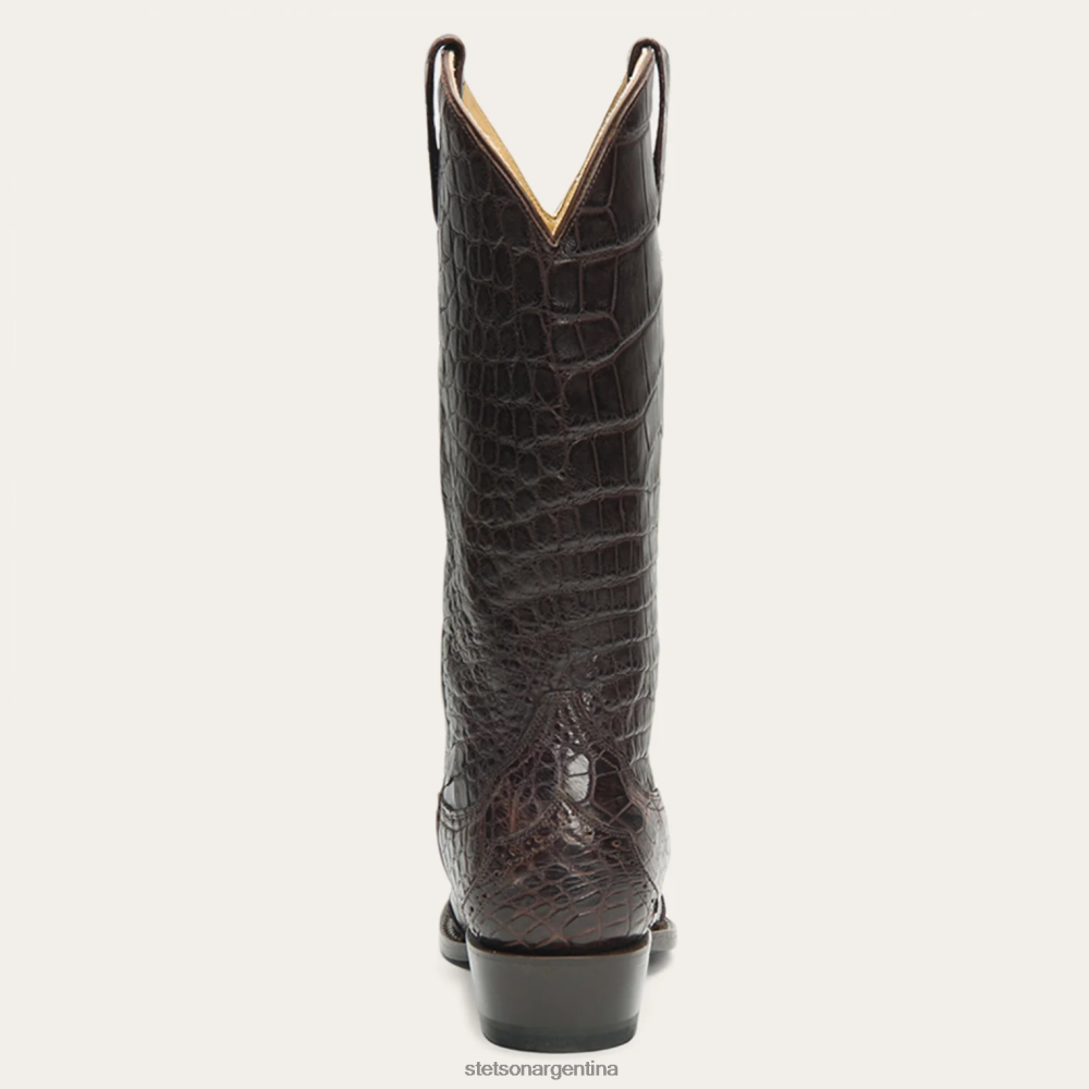 Stetson botas lola marrón mujer calzado P242PH259