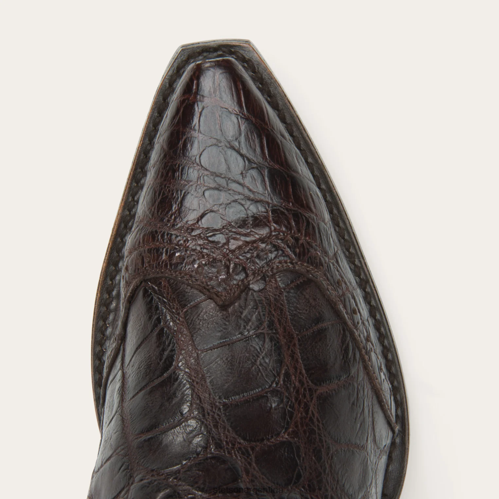 Stetson botas lola marrón mujer calzado P242PH259