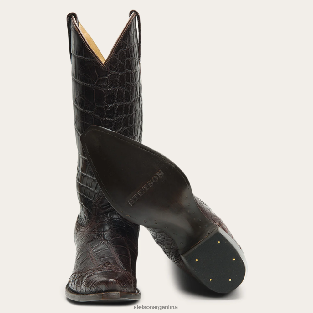 Stetson botas lola marrón mujer calzado P242PH259