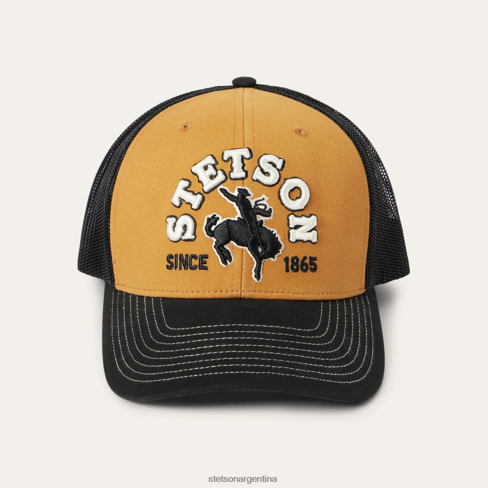 Stetson gorra de camionero vaquero broncearse unisexo sombreros P242PH209