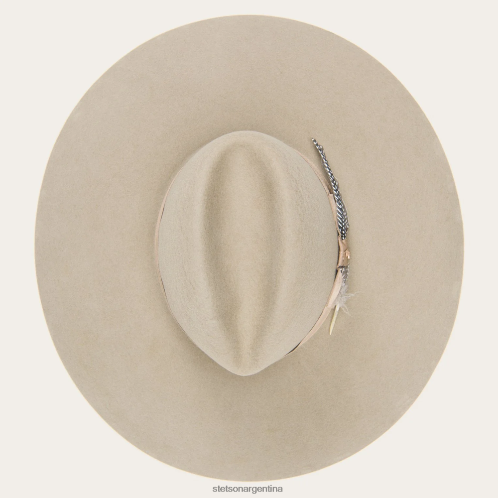 Stetson El rapto champiñón unisexo sombreros P242PH53