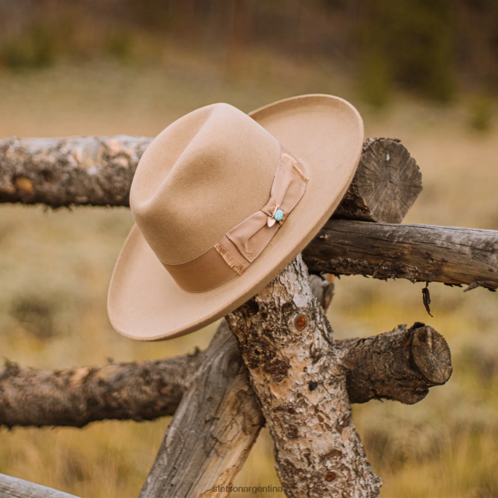 Stetson eureka piedra unisexo sombreros P242PH183