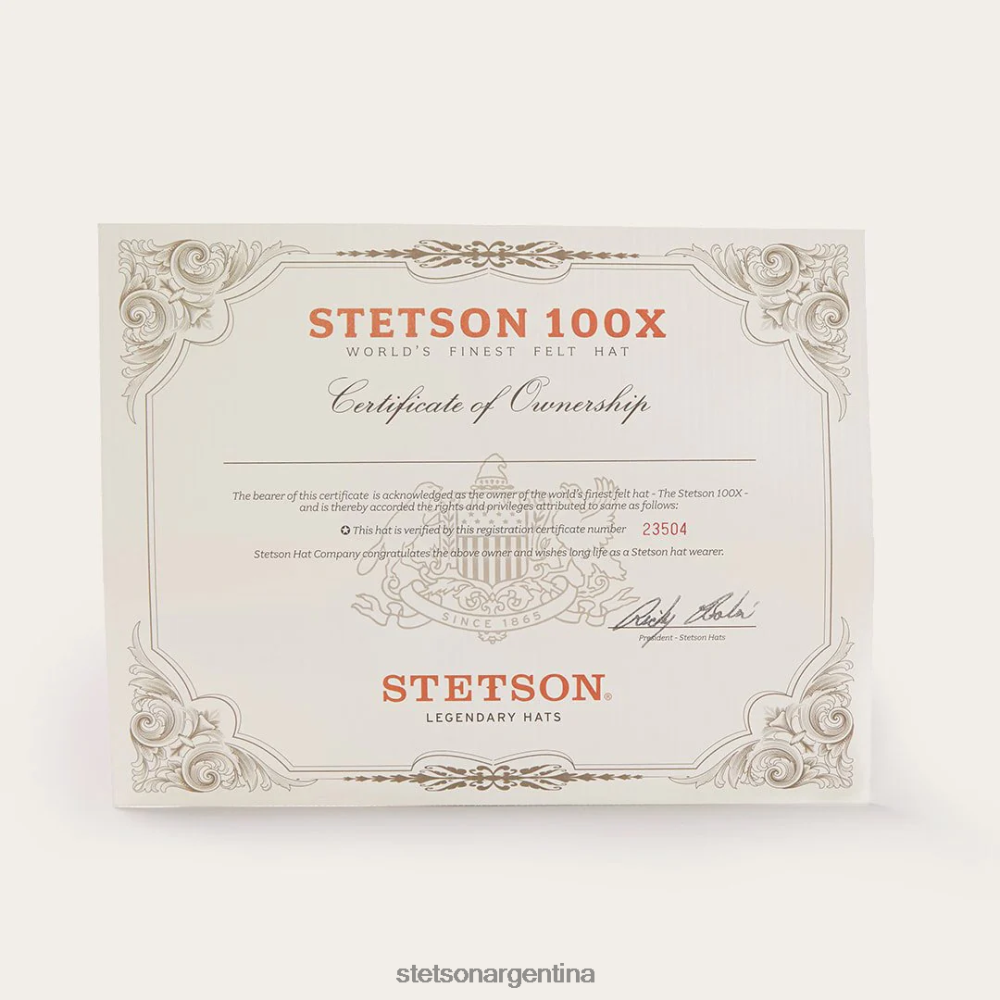 Stetson el presidente 100x sombrero de vaquero premier negro unisexo sombreros P242PH70