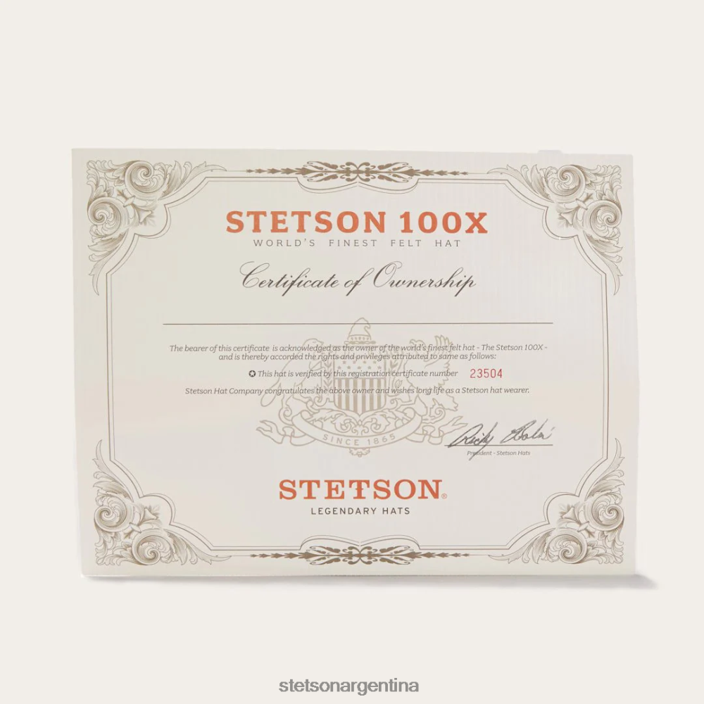 Stetson el presidente 100x sombrero de vaquero premier vientre plateado unisexo sombreros P242PH2