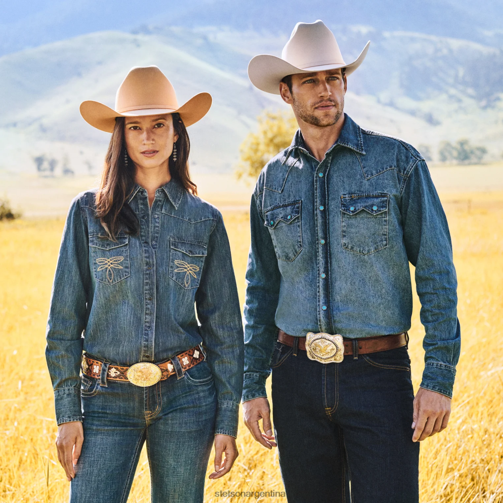 Stetson el presidente 100x sombrero de vaquero premier vientre plateado unisexo sombreros P242PH2