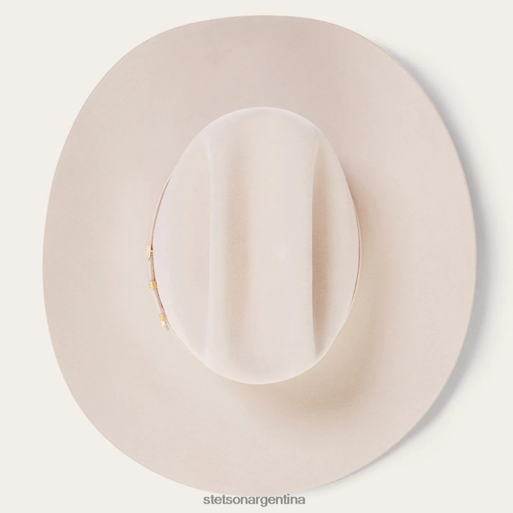 Stetson el presidente 100x sombrero de vaquero premier vientre plateado unisexo sombreros P242PH2