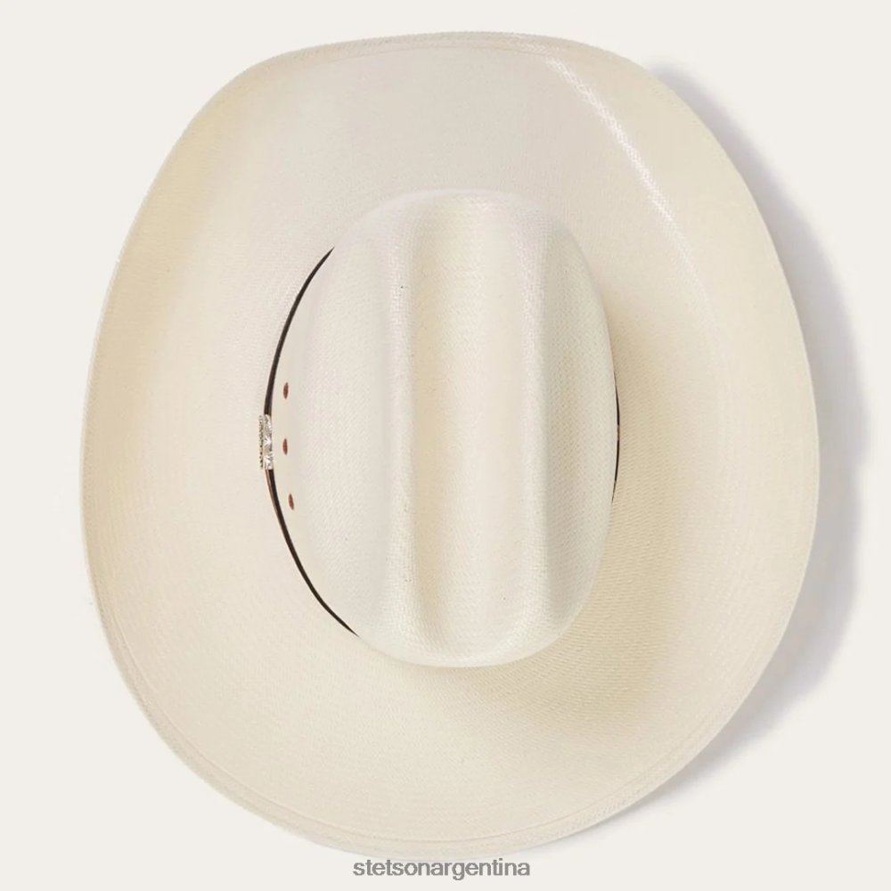 Stetson haywood 10x sombrero vaquero de paja natural unisexo sombreros P242PH178