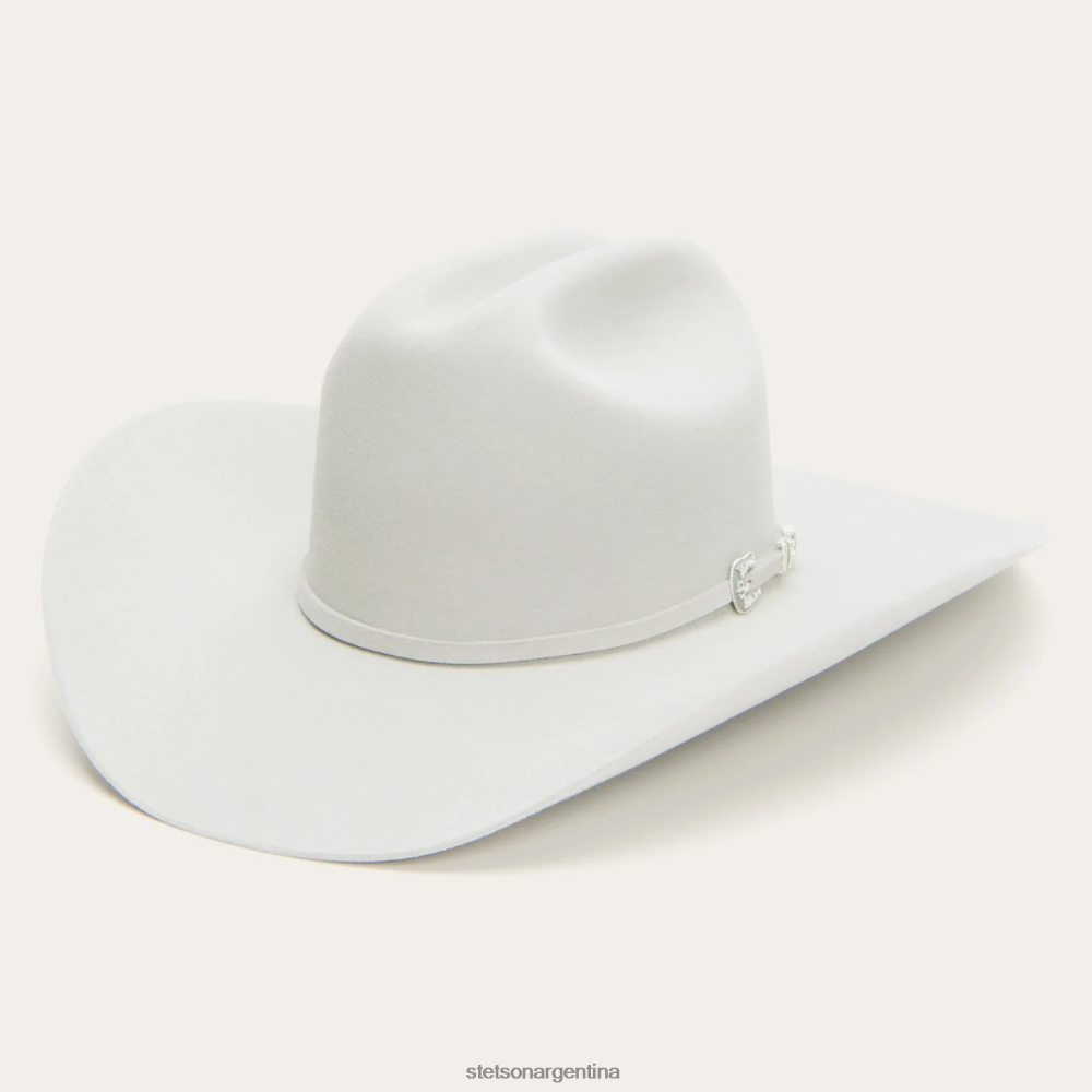 Stetson horizonte 6x sombrero de vaquero Gris plateado unisexo sombreros P242PH107