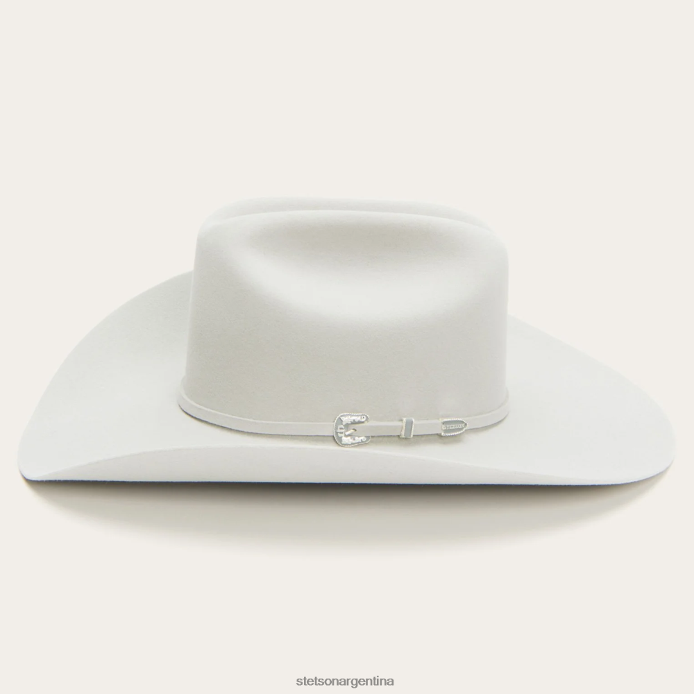 Stetson horizonte 6x sombrero de vaquero Gris plateado unisexo sombreros P242PH107