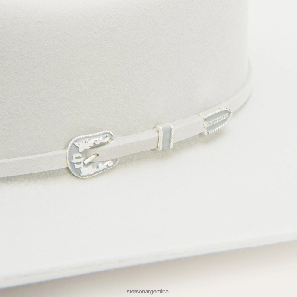 Stetson horizonte 6x sombrero de vaquero Gris plateado unisexo sombreros P242PH107