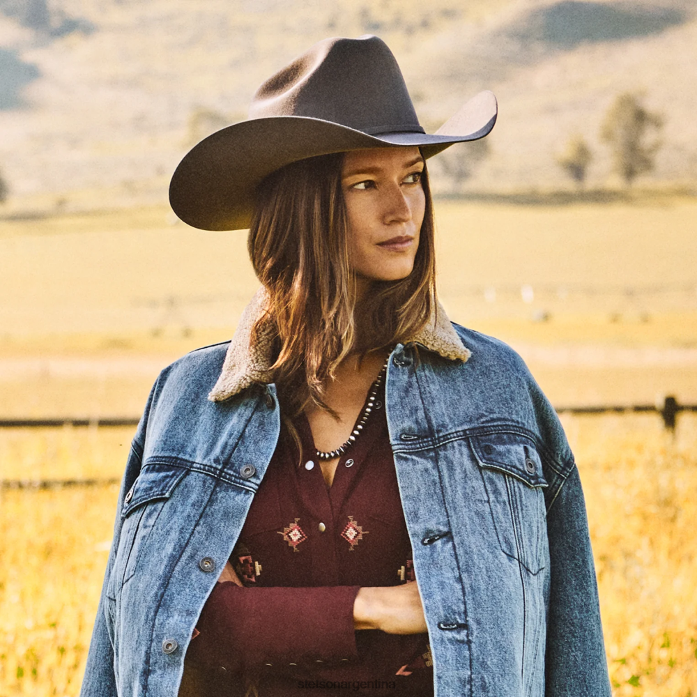 Stetson horizonte 6x sombrero de vaquero granito unisexo sombreros P242PH69