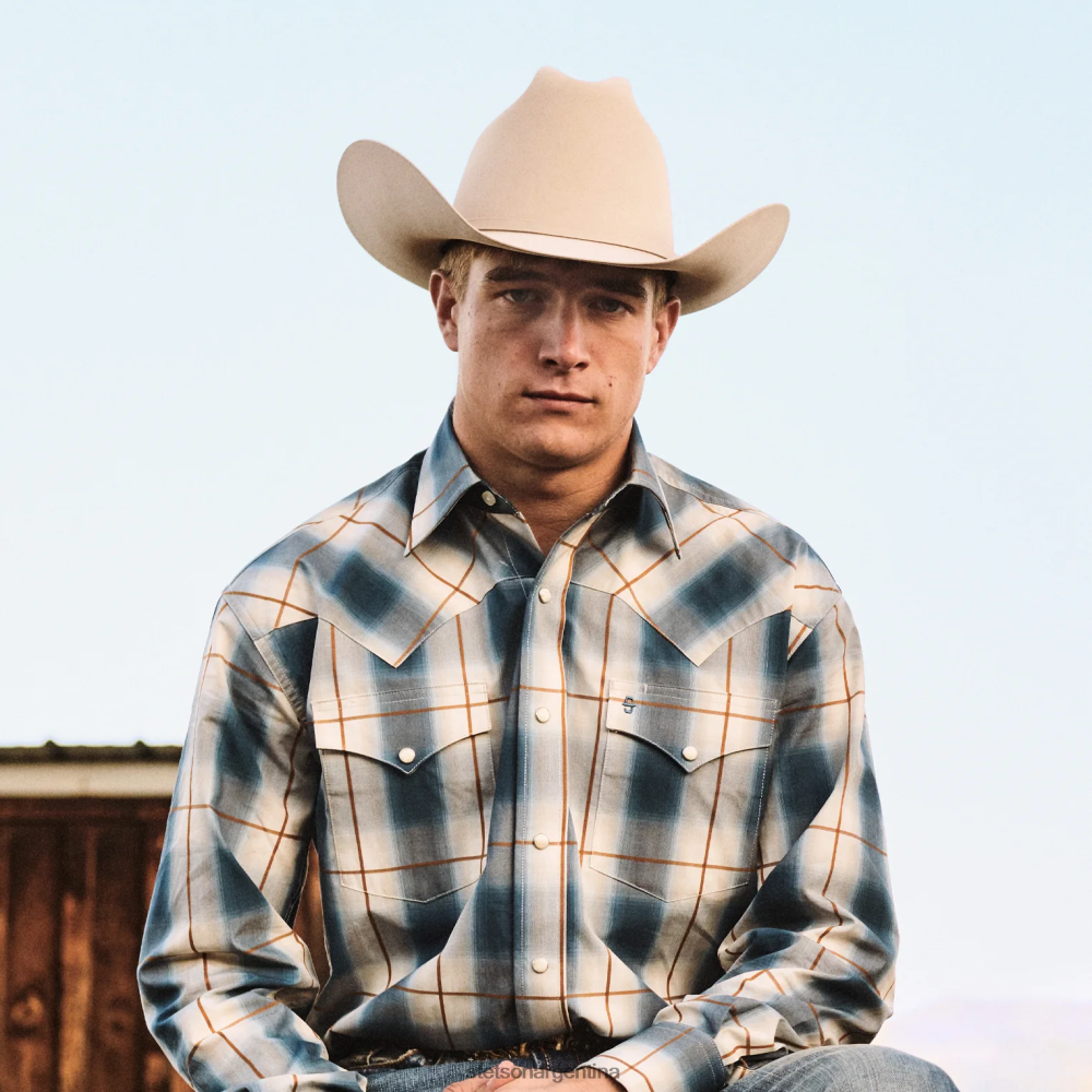 Stetson horizonte 6x sombrero de vaquero vientre plateado unisexo sombreros P242PH5