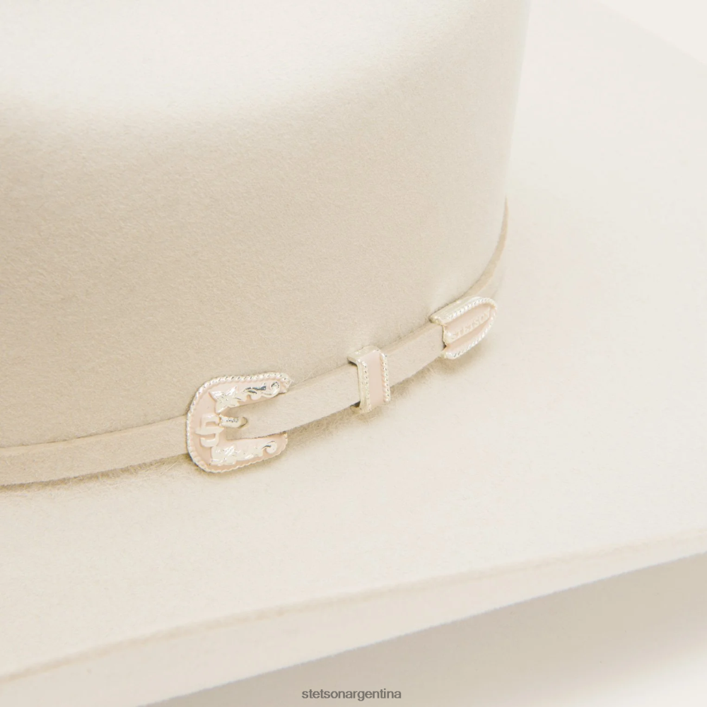 Stetson horizonte 6x sombrero de vaquero vientre plateado unisexo sombreros P242PH5