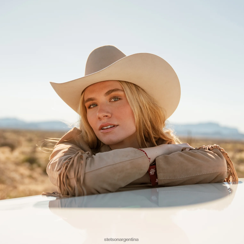 Stetson horizonte 6x sombrero de vaquero vientre plateado unisexo sombreros P242PH5