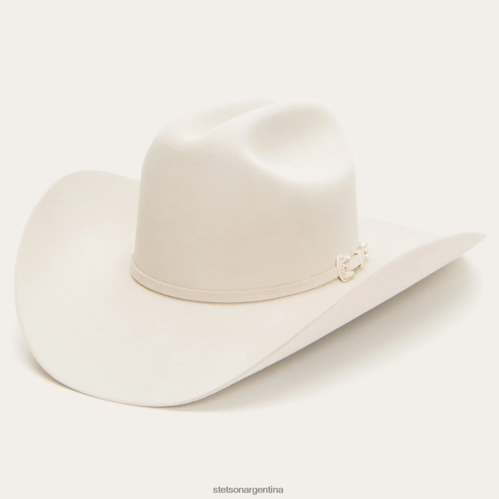 Stetson horizonte 6x sombrero de vaquero vientre plateado unisexo sombreros P242PH5