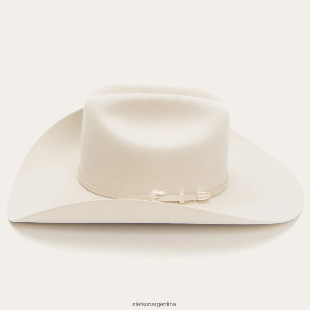 Stetson horizonte 6x sombrero de vaquero vientre plateado unisexo sombreros P242PH5