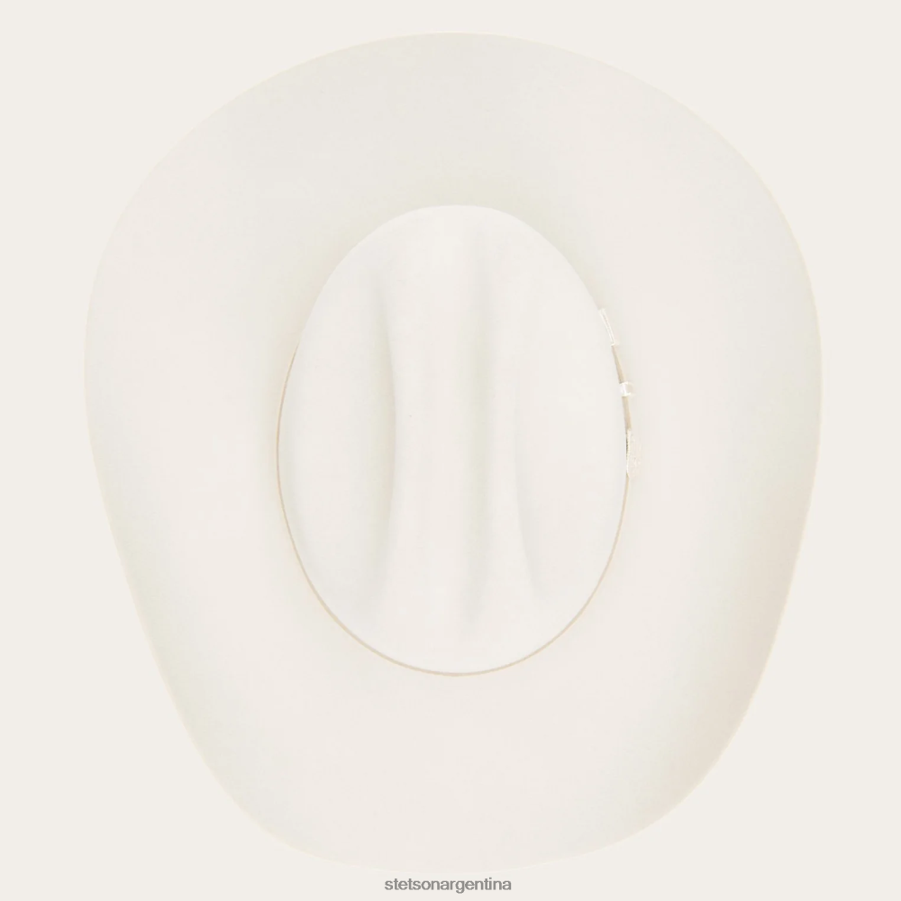 Stetson horizonte 6x sombrero de vaquero vientre plateado unisexo sombreros P242PH5
