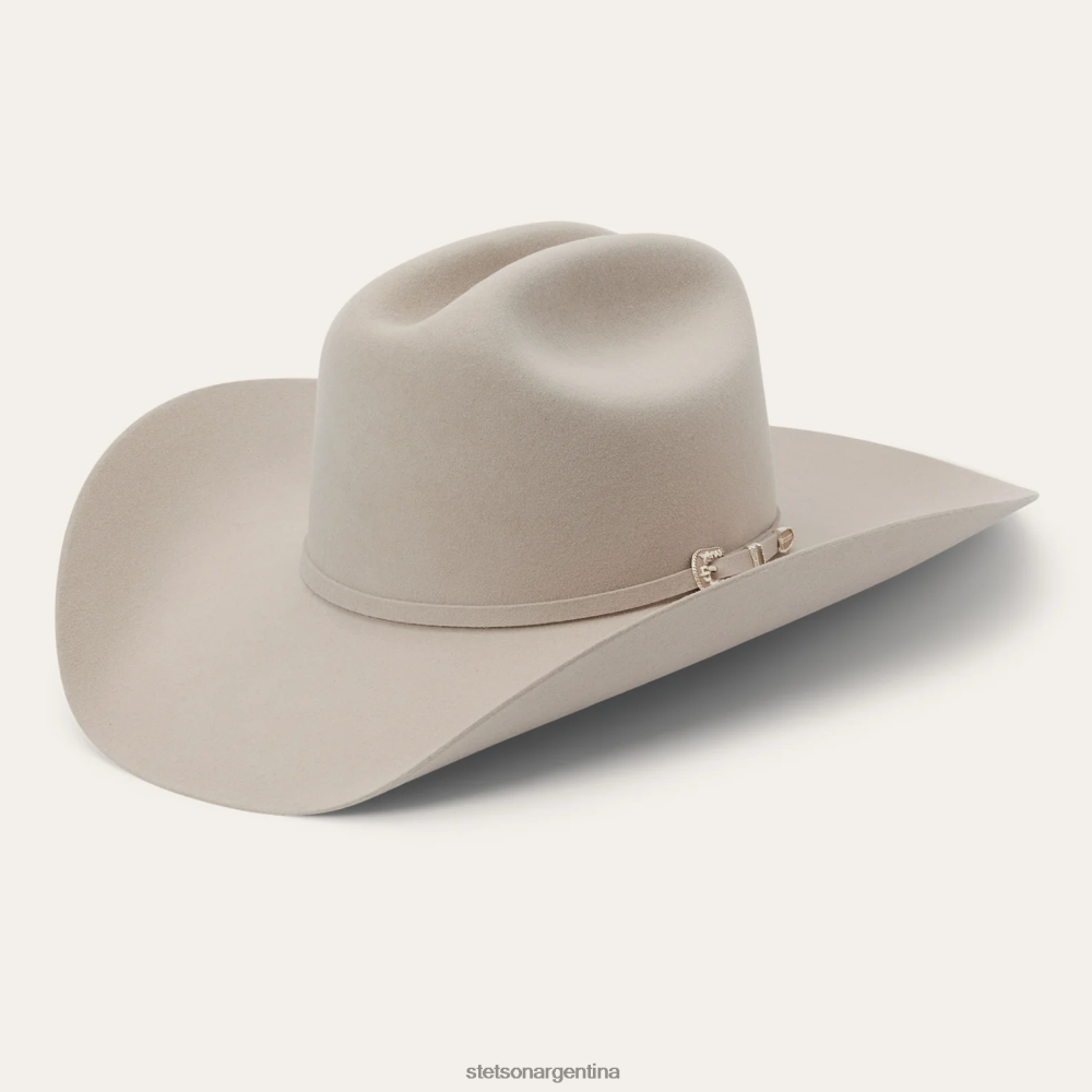 Stetson horizonte 7242 6x sombrero de vaquero vientre plateado unisexo sombreros P242PH215
