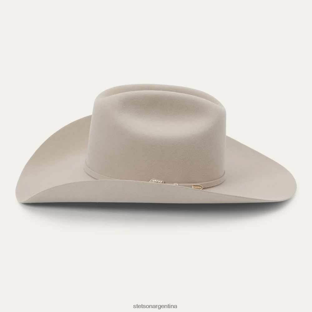 Stetson horizonte 7242 6x sombrero de vaquero vientre plateado unisexo sombreros P242PH215