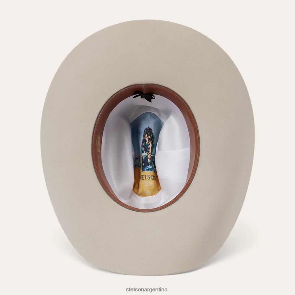 Stetson horizonte 7242 6x sombrero de vaquero vientre plateado unisexo sombreros P242PH215