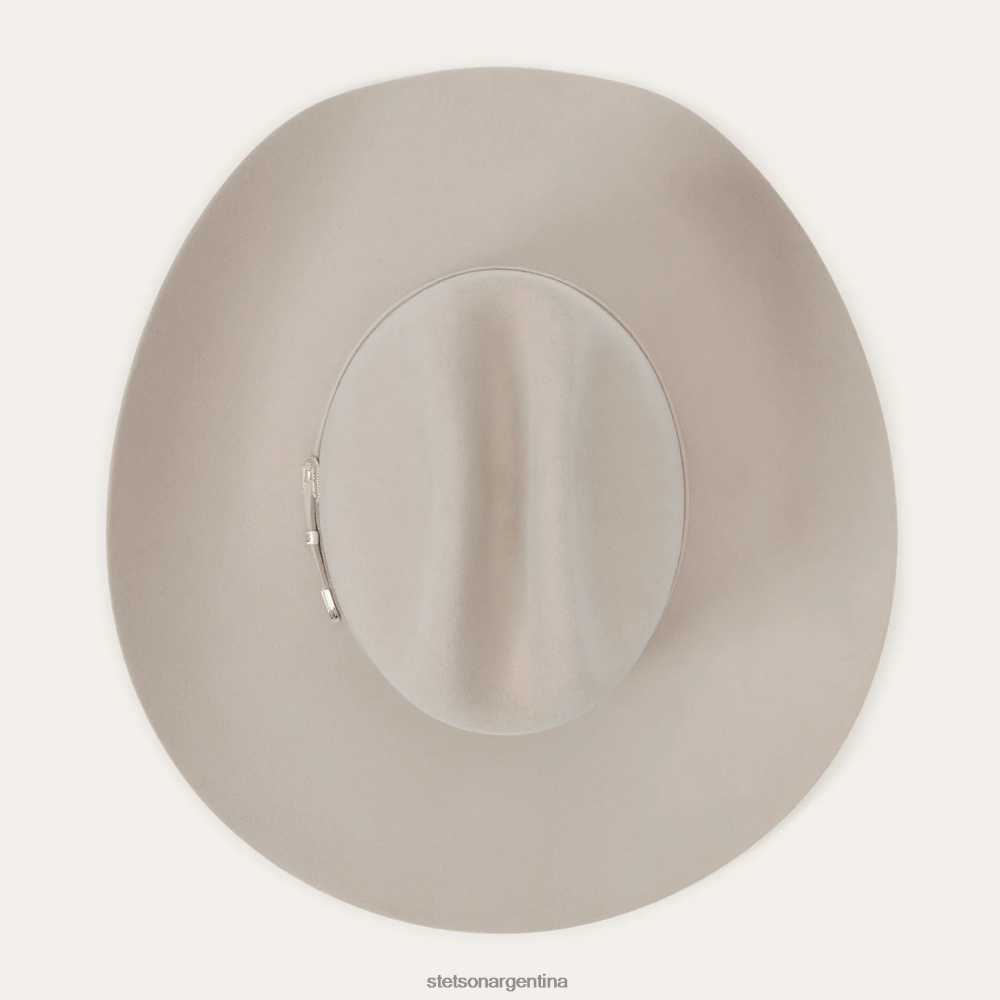 Stetson horizonte 7242 6x sombrero de vaquero vientre plateado unisexo sombreros P242PH215