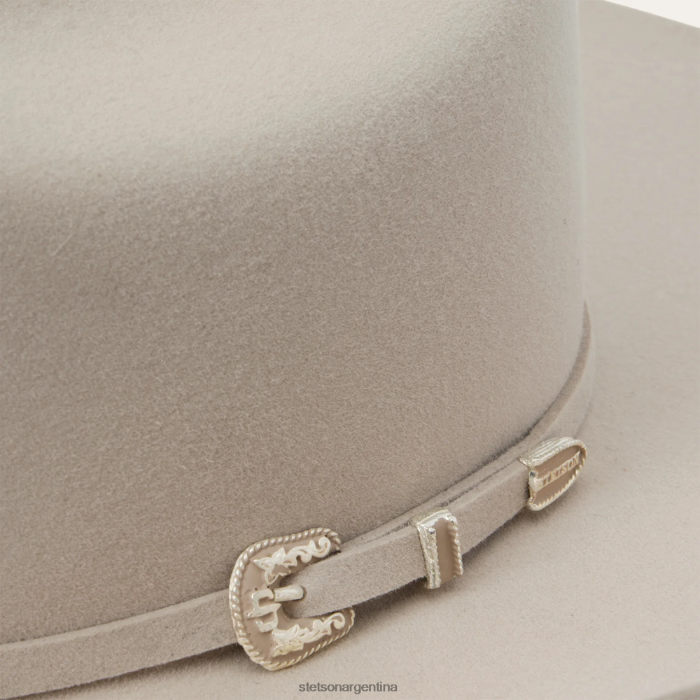 Stetson horizonte 7242 6x sombrero de vaquero vientre plateado unisexo sombreros P242PH215