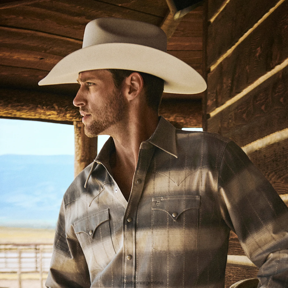 Stetson sombrero de vaquero shasta 10x premier blanco unisexo sombreros P242PH68