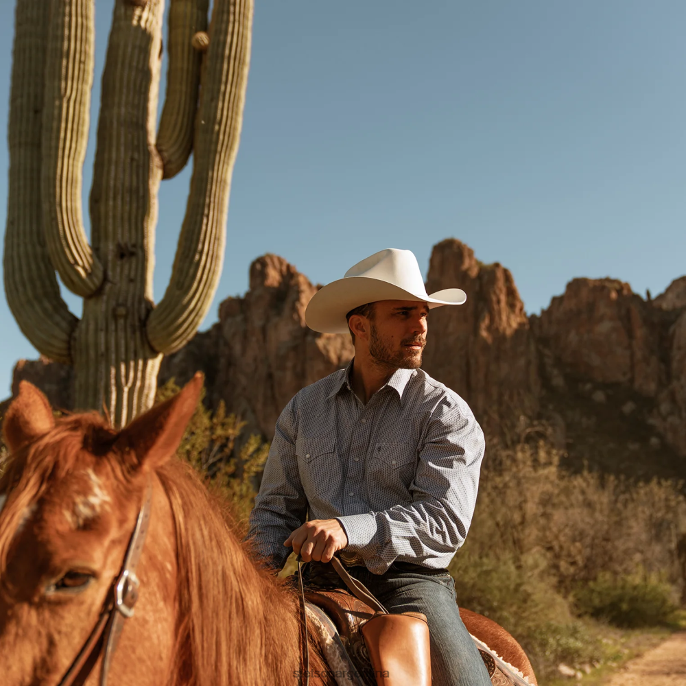 Stetson sombrero de vaquero shasta 10x premier blanco unisexo sombreros P242PH68