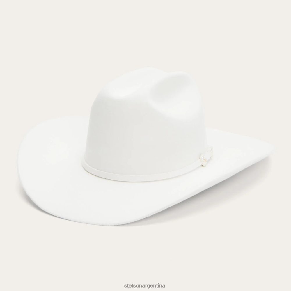 Stetson sombrero de vaquero shasta 10x premier blanco unisexo sombreros P242PH68